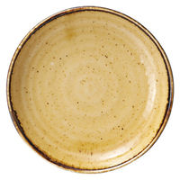 ケーアイ プレート 23cm BROWNIE 皿 食器 洋食器 和食器 磁器 日本製 355174 1個（直送品）