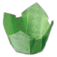 ヤマコー OP市松珍味入 小B 若草色 200枚入 66662 1セット(200枚)（直送品）