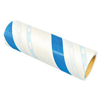 エブノ 粘着ローラー コロコロスペアテープ 幅160mm 90周スパイラルカットエブノ 00439859 1袋(1個)（直送品）