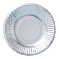 三和紙工 紙皿 シルバープレート 5号 00804101 1ケース(2400個(100個×24))（直送品）