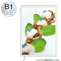 友屋 売場備品 MGライトパネルカスタム 屋内外 B1 シルバー 56117-B1 1ケース(1個)（直送品）