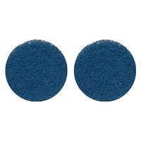 くうかん i-scrub用 21B 青パッド(10個入) 7202313130000 1ケース(1個)（直送品）