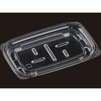 エフピコ 軽食容器 AP惣菜17-11(17) 本体 透明 7R000171 1ケース(1200個(50個×24))（直送品）