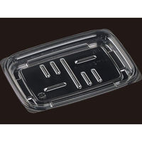エフピコ 軽食容器 AP惣菜18-13(17) 本体 透明 7R000183 1ケース(900個(50個×18))（直送品）