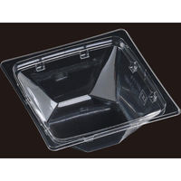 エフピコ サラダ容器 APアングル 13-13(46) 本体 エコ 7R021313 1ケース(1400個(50個×28))（直送品）