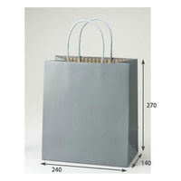 パックタケヤマ 紙手提袋 STカラーズ アッシュブルー XZT68305 1袋(10個)（直送品）