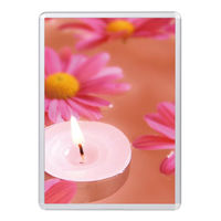 友屋 売場備品 メディアグリップ MG-25R B2シルバー 屋内 56986B2S 1ケース(5個)（直送品）