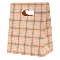 パックタケヤマ 角底袋 イーグリップM トリコロールチェック XZT52029 1ケース(500個(50個×10))（直送品）