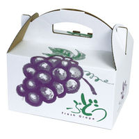 ヤマニパッケージ ギフト箱 L-2306 ぶどうの里 手提 大 1ケース(50個(10個×5))（直送品）
