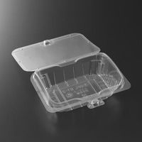 中央化学 フルーツ容器 C-APG OFL ST-2 37499 1袋(25個)（直送品）