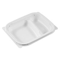 中央化学 弁当容器 CTカインド20-16 2S W 身 00810808 1ケース(800個(50個×16))（直送品）