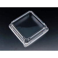 リスパック 千代の盛3-3 OC RSAT439 1ケース(300個(50個×6))（直送品）