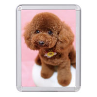 友屋 売場備品 メディアグリップ MG-25R B4シルバー 屋内 56986B4S 1袋(1個)（直送品）