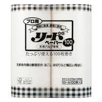 ライオンハイジーン キッチンペーパー 業務用プロ用リードペーパー 100 中サイズ 100枚×2ロール 508293 1袋(1個)（直送品）