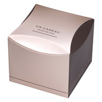 ヤマニパッケージ ギフト箱 リュクス キュービック 20-2104 1ケース(100個)（直送品）