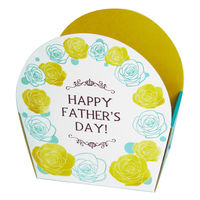 ヤマニパッケージ ギフト箱 イベントケース 父の日 20-666 1ケース(100個(25個×4))（直送品）