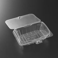 中央化学 フルーツ容器 C-APG OFL ST-2 37499 1ケース(600個(25個×24))（直送品）