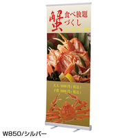 友屋 イベント用品 ローコストロールスクリーン RS27N 850 シルバー 60015-1S 1袋(1個)（直送品）