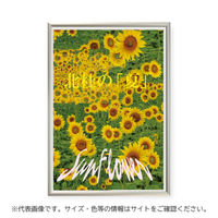 友屋 アルミフレーム スリムエイト A4 ホワイト 30225*** 1ケース(24個)（直送品）