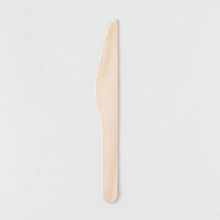 アサヒグリーン 使い捨てカトラリー 木製ナイフ160 バラ 10611000 1ケース(3000個(100個×30))（直送品）