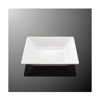 国際化工 17cm角深皿 ホワイトC E 123-IWC 1個 64-7770-85（直送品）