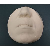 ビューラックス ほうれい線モデル 50代女性 ウレタンゲル No.328 1個 64-0695-42（直送品）