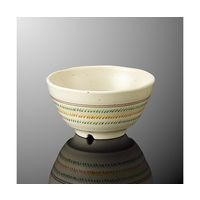 国際化工 丼 中 色かんな A 97-SJ 1個 64-7759-80（直送品）