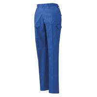 日新被服 女子後ろゴムカーゴパンツ SR2120-30-5L ブルー 1PC（直送品）