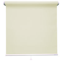立川機工 ファーステージ ロールスクリーン デミーク 厚手 1000×2300mm アイボリー TR-702 1台（直送品）