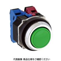 IDEC 押ボタンスイッチ(亜鉛ダイカスト製) 平形 黒 ABD101NB 1セット(2個)（直送品）