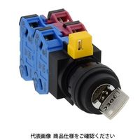 IDEC φ22 HWシリーズ鍵操作形セレクタスイッチ 2ノッチ HW1Kー2A22 1個（直送品）