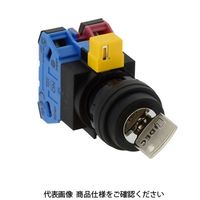 IDEC φ22 HWシリーズ鍵操作形セレクタスイッチ 2ノッチ HW1Kー2B11ー2H 1個（直送品）