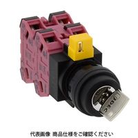 IDEC φ22 HWシリーズ鍵操作形セレクタスイッチ 3ノッチ HW1Kー31B04 1個（直送品）