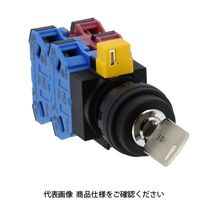 IDEC φ22 HWシリーズ鍵操作形セレクタスイッチ 3ノッチ HW1Kー3D31N1 1個（直送品）
