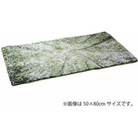 イケヒコ ガイア 玄関マット 600×900mm グリーン 1311050011801 1枚（直送品）