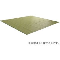 イケヒコ リリーフ い草調PPカーペット 江戸間6畳 2610×3520mm グリーン 1090610121202 1枚（直送品）