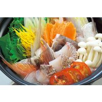 徳島魚類 きらびき工房　天然鳴門鯛 冷凍鯛しゃぶセット　719579 1セット（直送品）