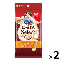 銀のスプーン おやつ とろリッチ鶏ささみ入り 国産 48g（6g×8本入）2袋 キャットフード ウェット