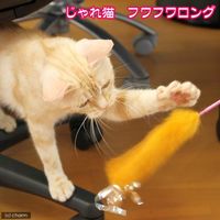 じゃれ猫 フワフワロング（色おまかせ） 猫じゃらし 猫用おもちゃ ドギーマンハヤシ 【コミュニケーション玩具】