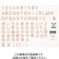 光 装飾文字 シナベニア切文字P式 英O PSB25-O 1セット(5枚) 223-8191（直送品）