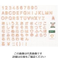 光（ヒカリ） 光 シナベニア切文字P式 英O PSB25-O 1セット（5枚） 223-8191（直送品）