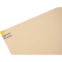 光 エンビ板 黄 2×910×900mm EB992-3 1枚 216-0636（直送品）