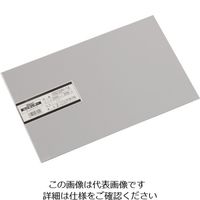 光 エンビ板 ミラー 2×200×300mm EB232M-14 1枚 820-0803（直送品）