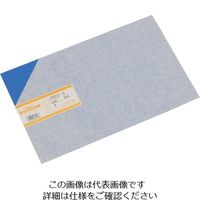 光 エンビ板 青 1×200×300mm EB231-6 1枚 820-0789（直送品）