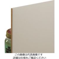 光 片面粘着付ボードホワイト 764×543mm TCB7654-1 1セット(5枚) 216-2145（直送品）