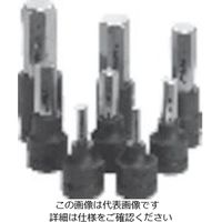 東日製作所 トーニチ ヘックスソケット 差し込み角6.35 二面幅4MM 432 1個 817-3576（直送品）