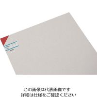 光 エンビ板 赤 3×910×600mm EB963-2 1枚 820-0916（直送品）