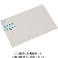 光 エンビ板 乳半 3×300×450mm EB343-12 1枚 820-0839（直送品）