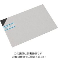 エルタライト PET-P（ナチュラルグレード） 板 ERTALYTE-12-610-1000（直送品） - アスクル