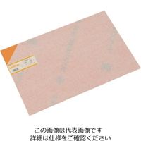 光 エンビ板 オレンジ透明300×450 EB431-9 1個(1枚) 849-4047（直送品）